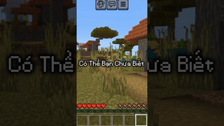 Có Thể Bạn Chưa Biết Phần 11 #minecraft #shorts