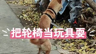 إنها تتعامل مع الكرسي المتحرك كأنه لعبة.