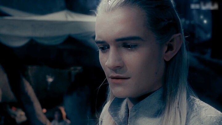 ภาพถ่ายหมู่ชาวยุโรปและอเมริกา | เติมพลังให้ลูกสุนัขโกลเด้นรีทรีฟเวอร์แบบเร่งด่วน!