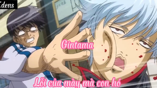 Gintama _Tập 9- Lỗi của mày mà con hó