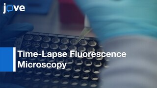 Time-Lapse Fluorescence Microscopy for Quantifying Protein Degradation | Protocol Preview