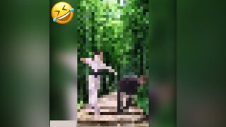 Cuộc đời của anh Bảnh #videohai