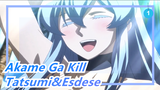 Akame Ga Kill|Tatsumi,Esdese, she really likes you. This smile is guarded by me!_1