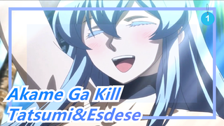 Akame Ga Kill|Tatsumi,Esdese, dia sangat menyukaimu. Senyum ini dijaga olehku!_1