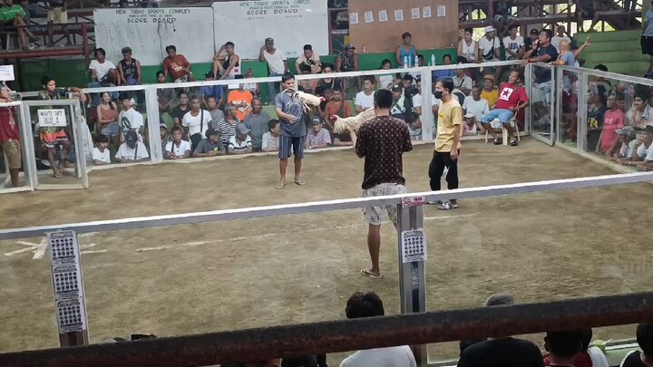 champion first fight (white)