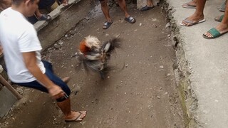 Dec 15 2024 pula vs talisayin