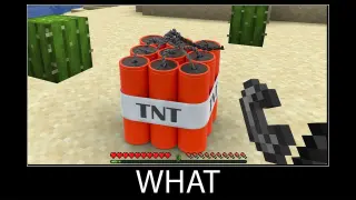 Minecraft wait what meme part 88 realistic minecraft TNT