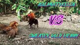 SPAR!   1X WINNER ASILMUFFXKELSO VS SWEATER GOLD HENNY  REMATCH!!!