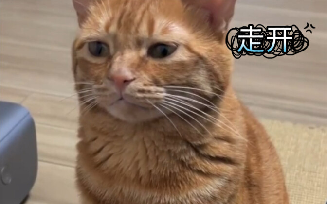 เกินไปแล้วนะ คุณไม่มีที่อยู่ของตัวเองเลยหรือไง?