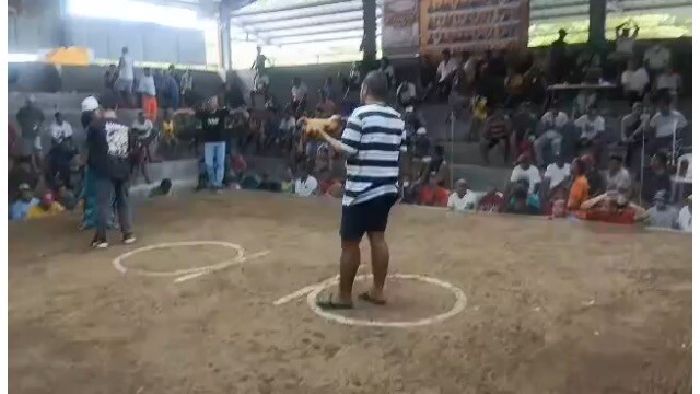 Ganda ng balasa! Bulik babalik