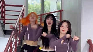 Phát hiện một bình luận thú vị: "Cái củ cà rốt đằng sau phát điên rồi" Hahaha