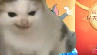 [Cat meme] The current situation of cat and mouse splitting 100 million diamonds