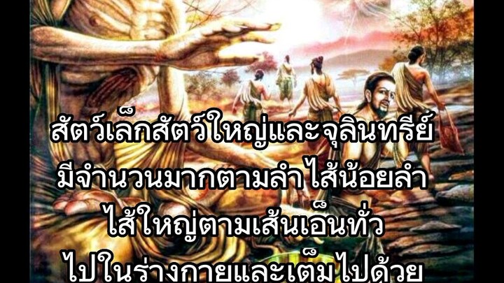 ร่างกาย สังขาร