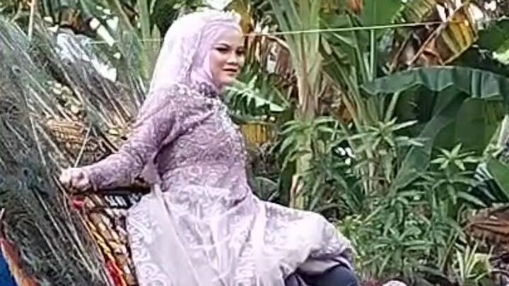 pengantin naik reoq singo makaryo