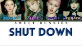 SHUT DOWN|COVER BY SWEET BUNNIES AND YUUKI