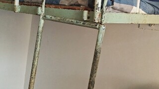 室友发出尖锐爆鸣声