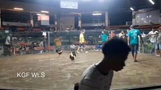 Waswasanay sa busay 5 stag elim 25.11.25