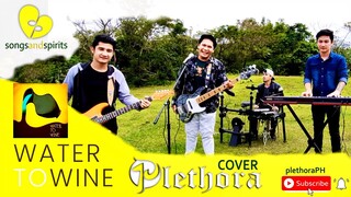 Water To Wine (cover) | Plethora