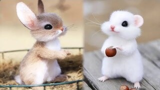 Cute Baby Animals Videos Compilation | Funny and Cute Moment of the Animals #2 - Cutest Animals 2023