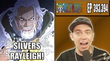 VICE CAPTAIN OF THE ROGER PIRATES! - One Piece Episode 393 and 394 - Rich Reaction