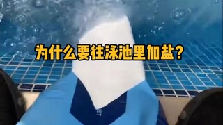 Why do we add salt to swimming pools? #Science #Unwind #CleanPool #Knowledge