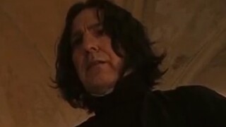 Penemuan arkeologis menunjukkan bahwa Snape harus mengajar tujuh kelas dari empat perguruan tinggi s