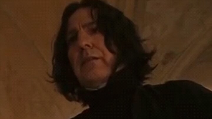 Penemuan arkeologis menunjukkan bahwa Snape harus mengajar tujuh kelas dari empat perguruan tinggi s