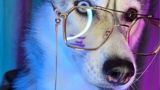 ว่าด้วยกระบวนการที่เด็กชายคนหนึ่งกลายเป็นตัวร้าย