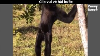 FL34-3 - Khoảnh khắc vui vẻ hài hước