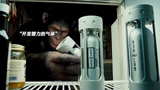 “人不犯我我不犯人，感受下凯撒的压迫感”