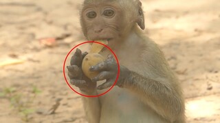 Breaking New! O.MG Why Right Hands Swollen Bigger. So Worry About Janet Hands So Much,