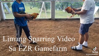 Sparring ng manok sa EZR Gamefarm - Episode 2