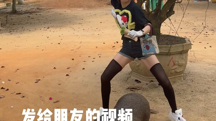 Buy me a 4060 and I’ll be your crush!