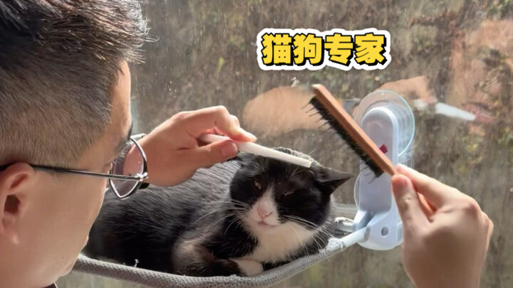 Về những chuyện vặt vãnh trêu mèo chọc chó của chồng tôi