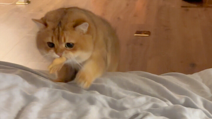 กลางดึกมีมือหนึ่งมาเล่นบนเตียงฉัน