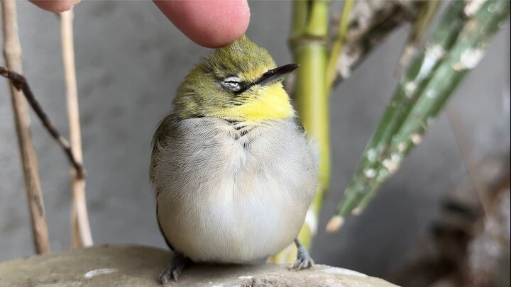 Cuddle time—let’s just cuddle!!!