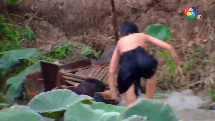 เรือนกาหลง 4