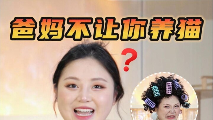 Mẹ không cho nuôi mèo? Xem xong video này, bạn sẽ năn nỉ xin được nuôi luôn!