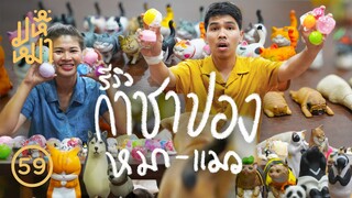 ล่ากาชาปอง หมาแมว ( คลิปถ่ายนานแล้ว ) - มหึหมา EP59