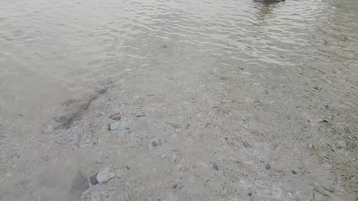 swimming in samboan Cebu🤿🤿 🤽‍♀️🤽‍♀️🤽‍♂️🤽‍♂️