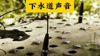 「自然中不同的声音」