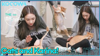 This cute cat loves aespa's Karina! l The Manager Ep207 [ENG SUB]