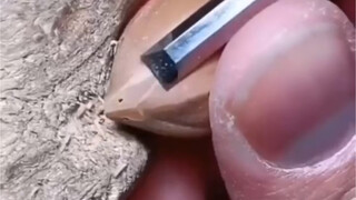 苏工 橄榄核雕刻