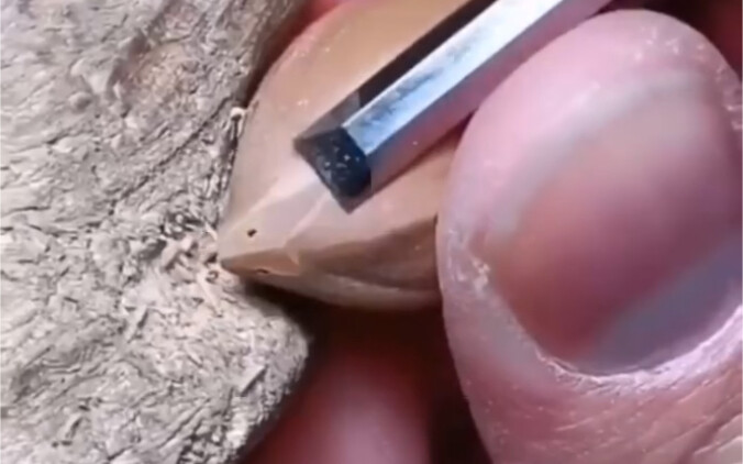 نحت نواة زيتون سوغونغ