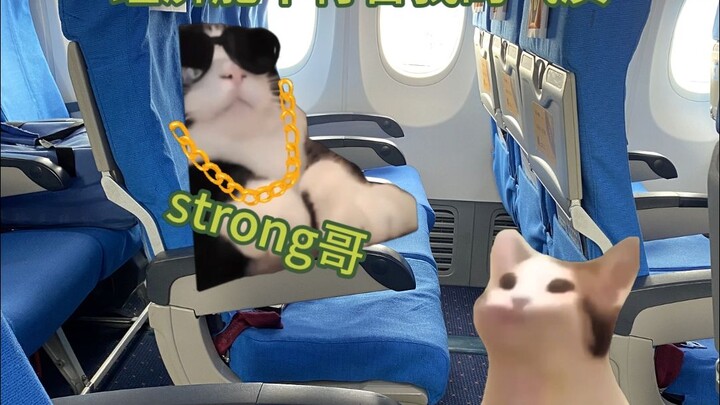 แต่คุณได้พบกับผู้ชายที่แข็งแกร่งบนเครื่องบิน