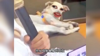 你还emo上了