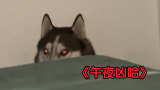 半夜三点，我差点被我家二哈吓死！