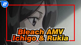 [Bleach AMV] Love Between Ichigo & Rukia_2
