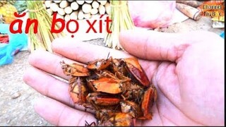 Bọ xít rang món ăn kinh dị tây bắc | Channel Tây Bắc