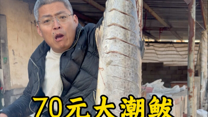 ปลาทูน่ากระแสน้ำใหญ่ 70 หยวน